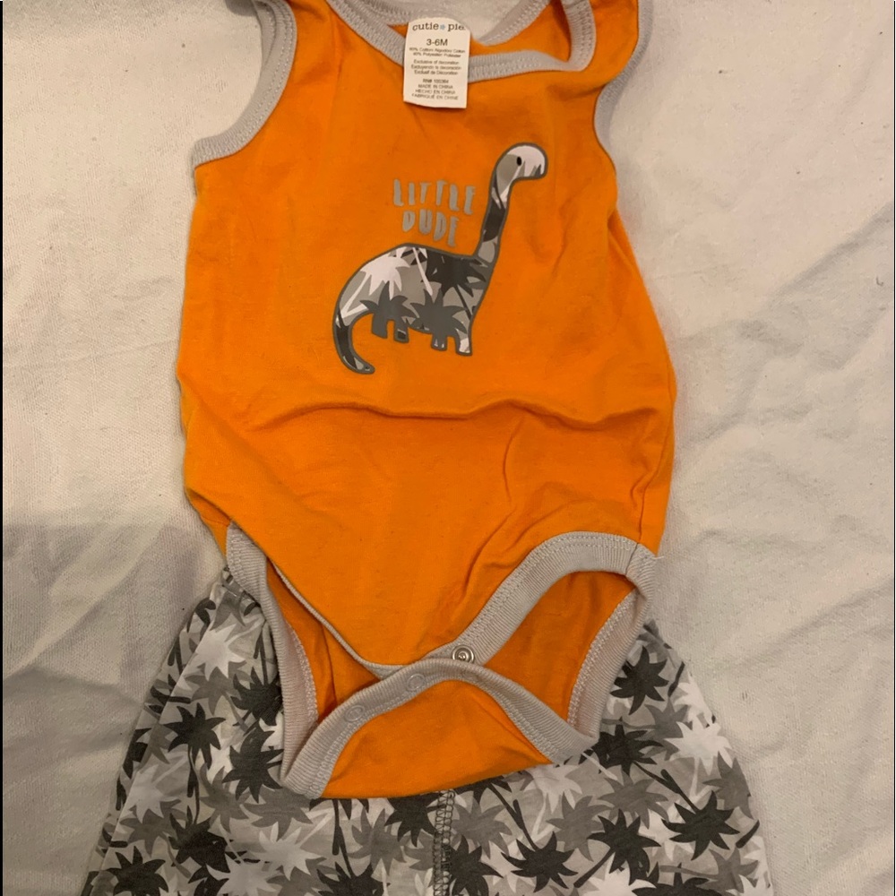 Dinosaur matching set